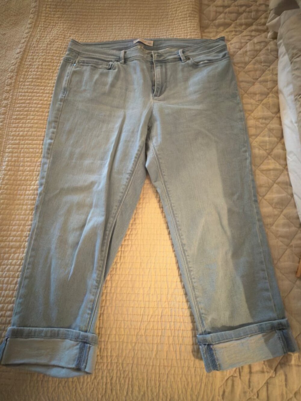 J. Jill Petite Authentic Fit Denim Cropped Jeans
